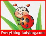 Everything Ladybug - Ladybug land